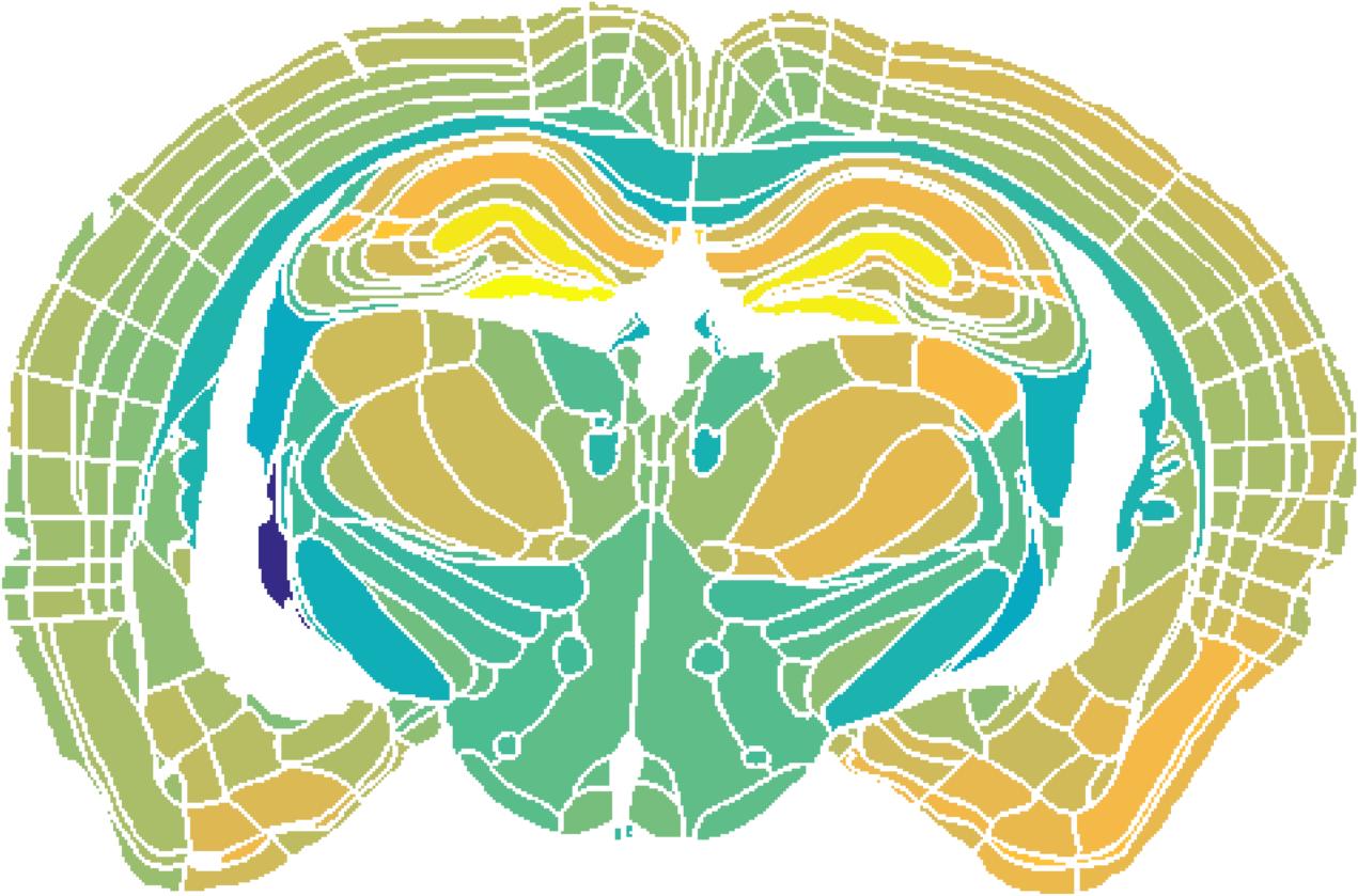 The Mouse Brain Synaptome Atlas